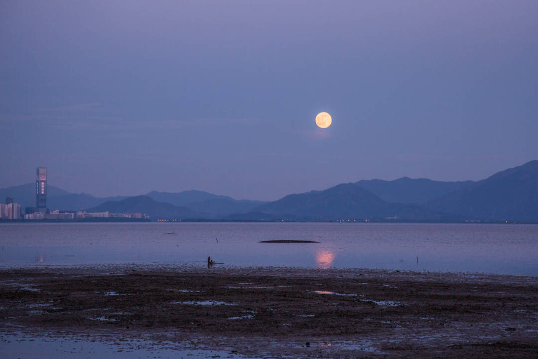 海上生明月,天涯共此时,月亮总是默默地,在安静的黑夜里,缓慢移动.