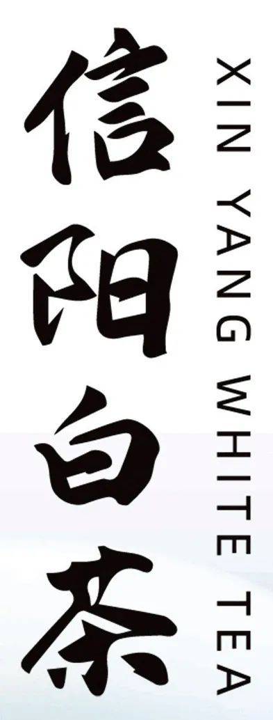 汉字"信阳白茶"字体设计线条流畅,大气美观,采用黑色的加粗字体使其