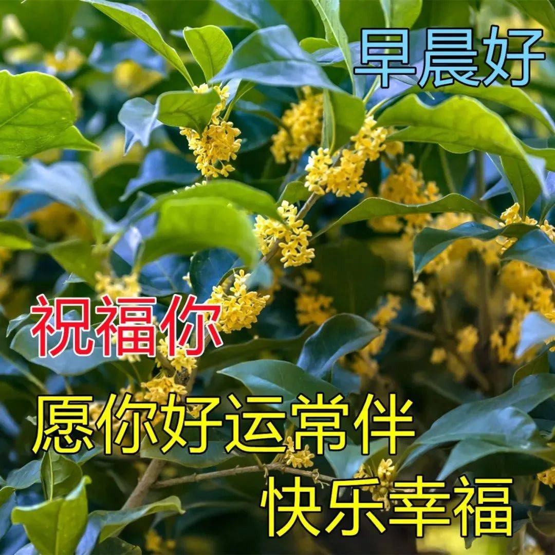 原创8张最新漂亮春天风景早安图片带字带祝福语2022早上好问候祝福语