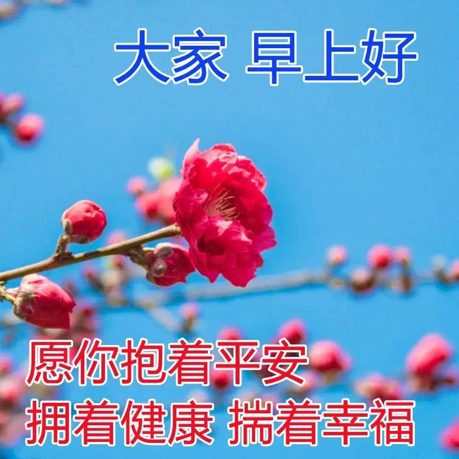 原创8张最新漂亮春天风景早安图片带字带祝福语2022早上好问候祝福语