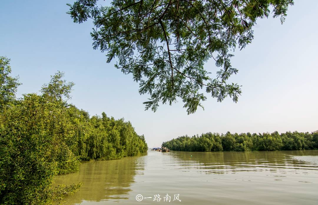 广州第一个滨海公园在南沙，堪称“小三亚”，景色迷人还免费