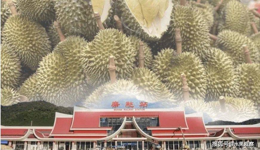 磨憨口岸检出泰国榴莲新冠阳性再次关停5天中国海关发警告