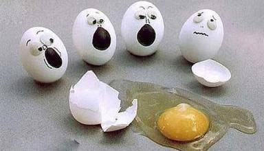 鸡蛋创意画让你万万想不到