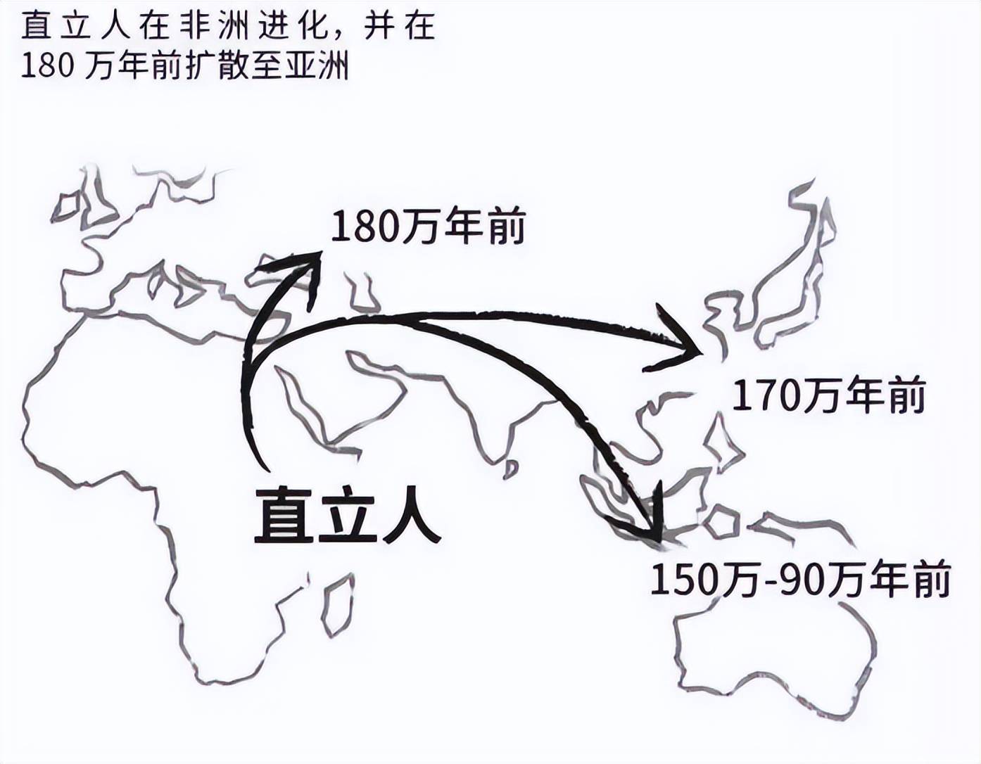 主流观点认为,佛罗勒斯人就是早期迁出非洲的直立人后裔,迁出时间大约