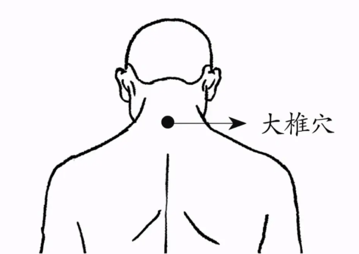 后背刮痧方向图 男士图片