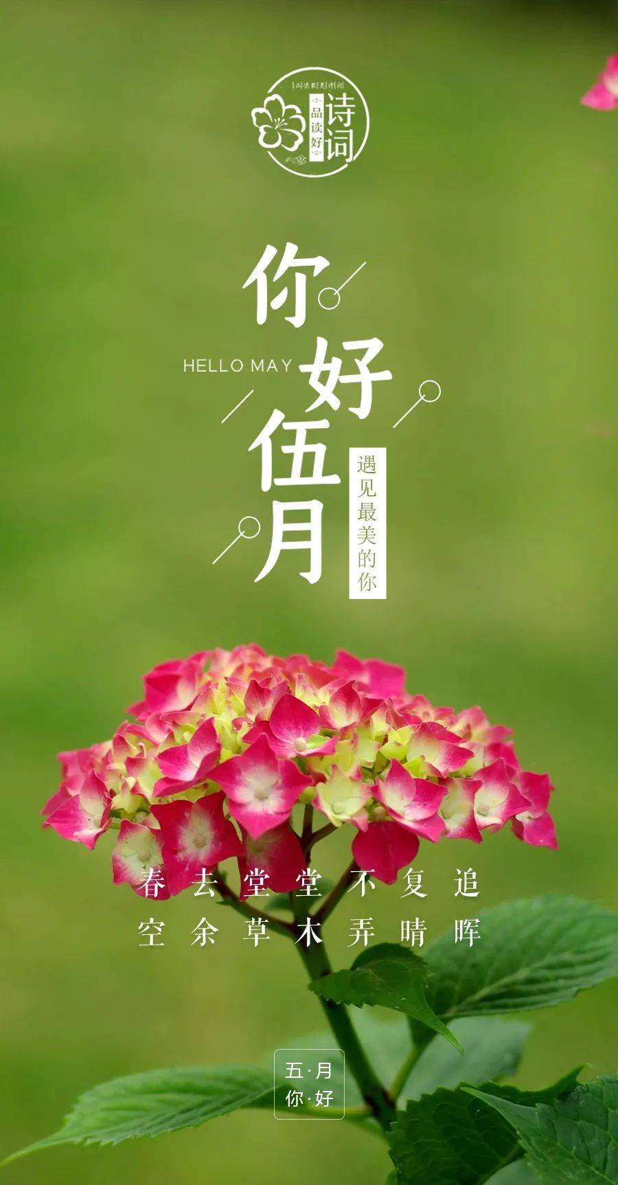 美文美图五月你好愿一切美好如期而至愿你活出自己的精彩