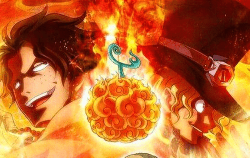 《海贼王》中被第二个人用过的六种果实,超人系五个,自然系一个_能力