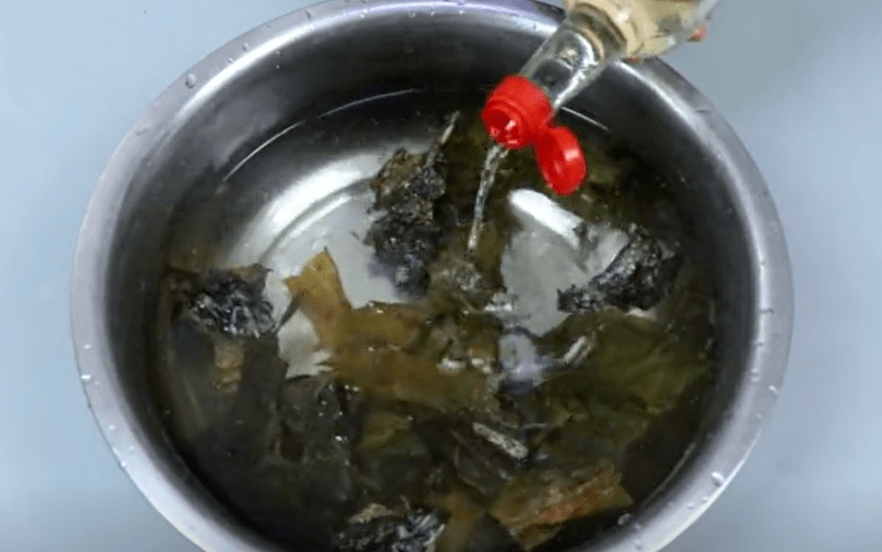 白醋_温水_盘子