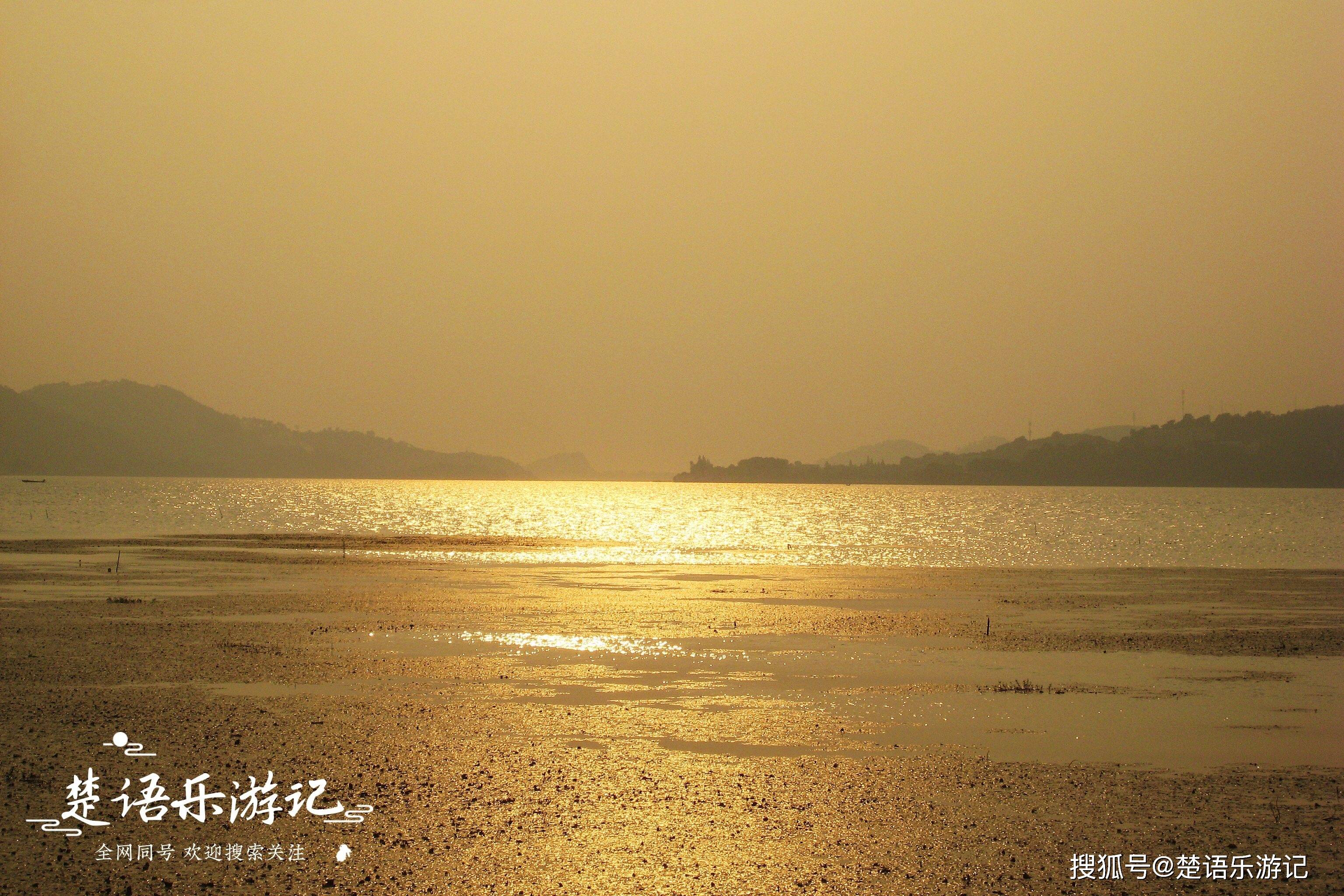 宁波城区的湿地公园青山绿水芦苇荡美成约会圣地却免费开放