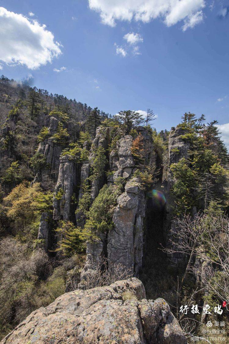 五一寶通天河高山杜鵑石林拍攝_公園_唐藏鎮_鳳縣