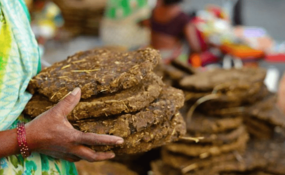 印度“牛粪饼”一盒卖数百卢比，经常脱销，它有什么用处呢？