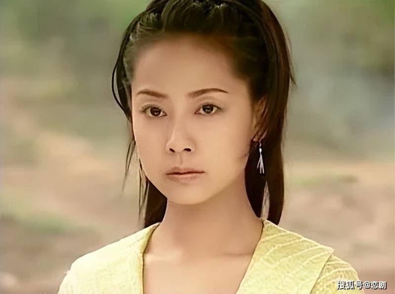 她饰演宋西湖的婢女"李红袖",虽为婢女,但她学识渊博.