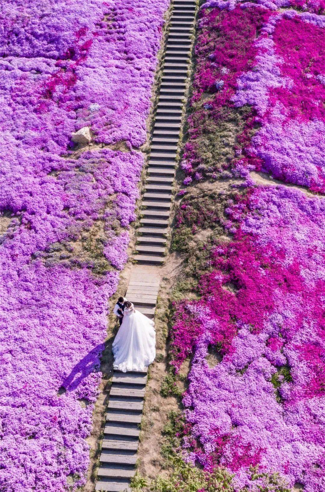 速來圍觀上帝在山東打翻了調色盤