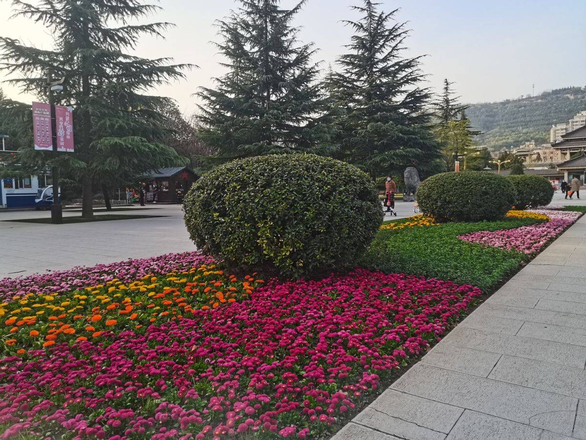 色彩丰富的花坛采用流线设计,满铺矮牵牛,雏菊,金盏,金鱼草等时令花卉