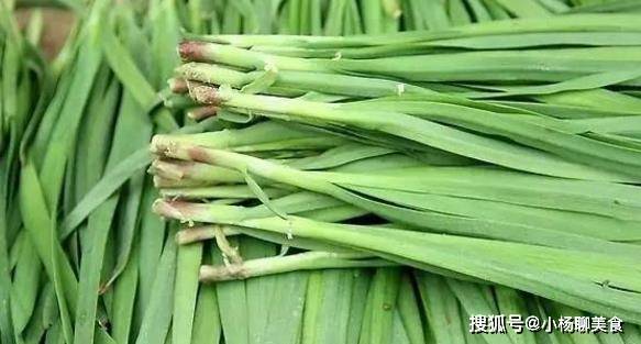 原创
韭菜有宽叶和细叶之分,不要买错了,差别很大
