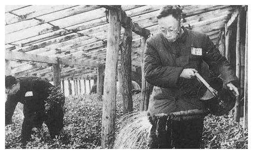 原创溥仪第一次发工资足足60块钱马上跑去买2件东西不愧是皇帝