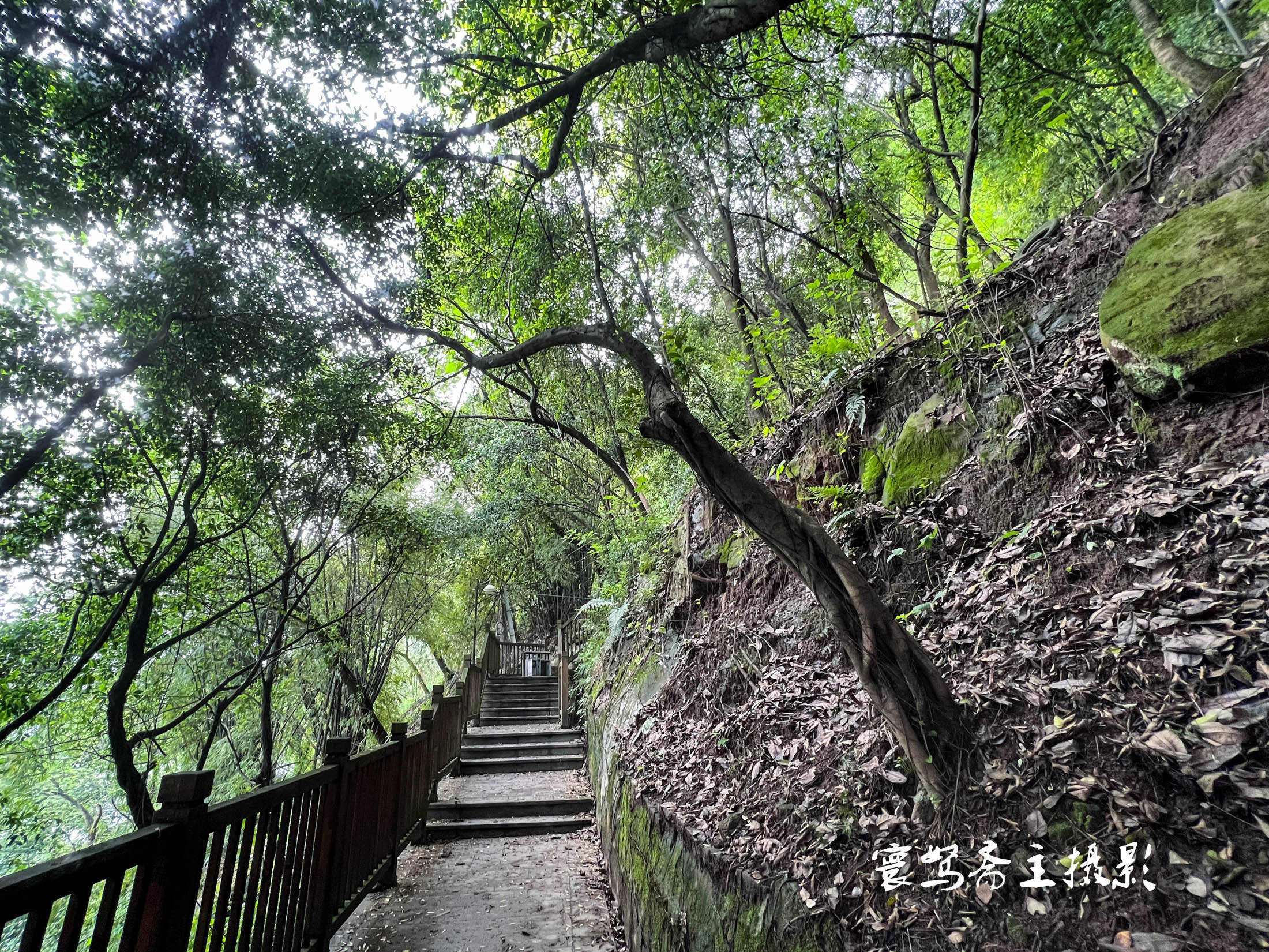 原创重庆半山崖线步道沙坪坝段打卡起点就是重庆的悬空寺龙泉洞道观