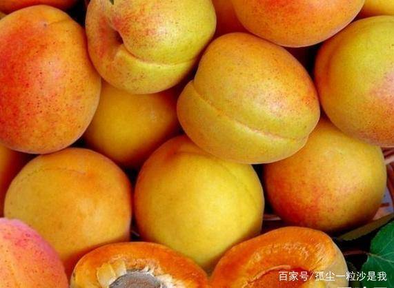 张家口10大美食特产推荐,地方美食彰显地方特色_蔚县_传统_宣化