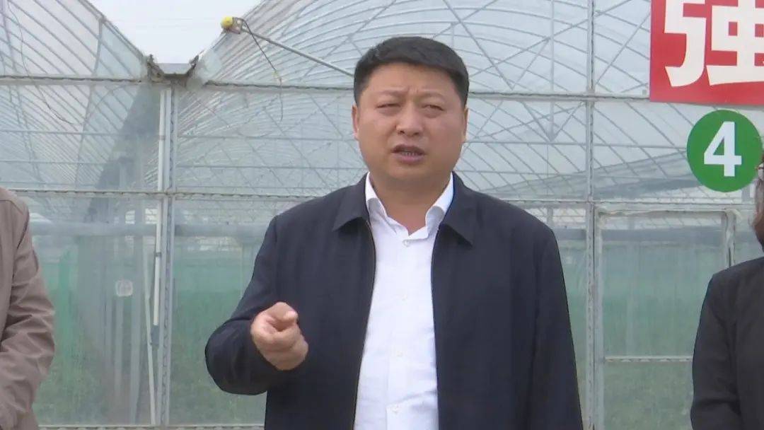 宝鸡岐山县县长张军辉调研产业发展和乡村振兴工作开展情况