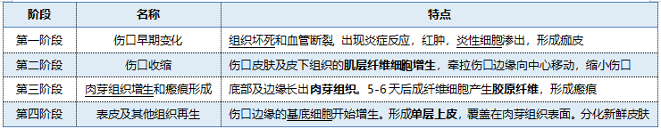 伤口不慎被撕拉出鲜血，别慌！皮肤正在快速愈合呢