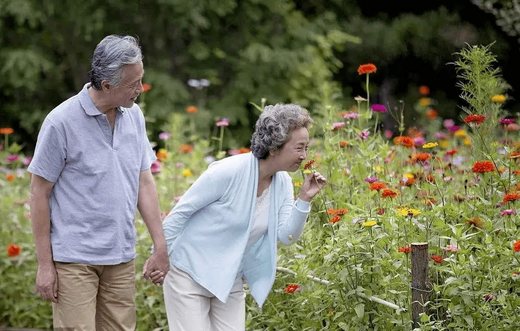 以康为擎以养为方用康养之法激活乡村振兴