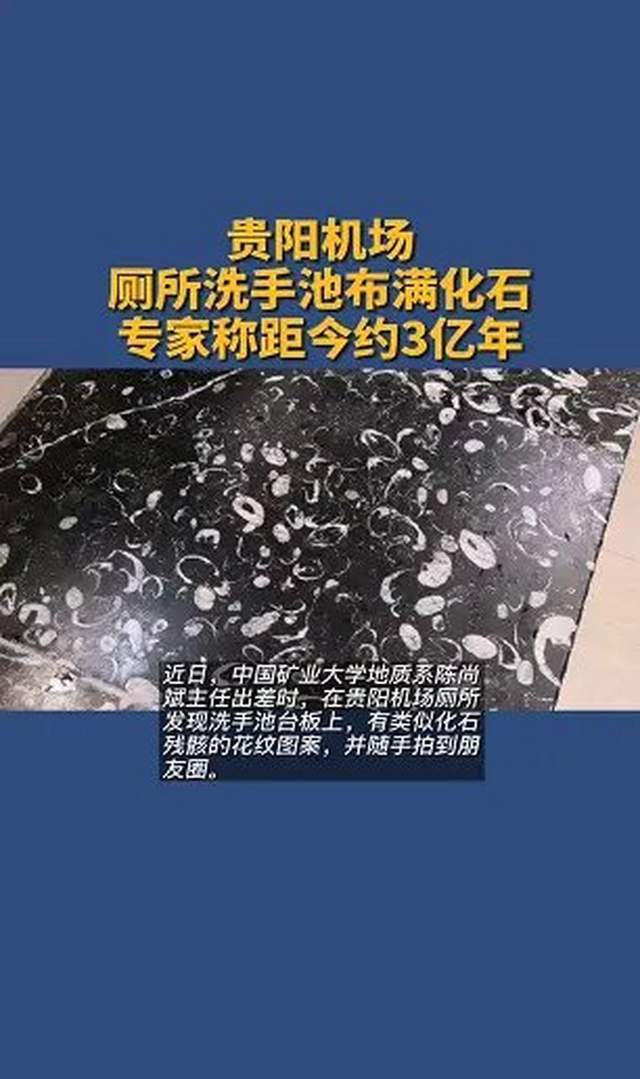 原创贵阳机场厕所洗手池布满4亿年前化石是否是暴殄天物