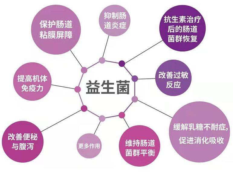 仁者医疗益生菌十问十答,你想知道的都在这儿_补充_生态_肠道