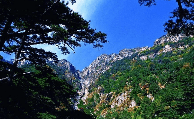 山东有个知名旅游城市，环境优美空气清新，可房价却媲美二线城市