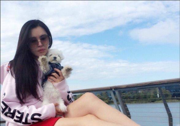 原创54岁王祖贤近照曝光穿粉裙遛狗背影美得像少女年轻美貌太罕见