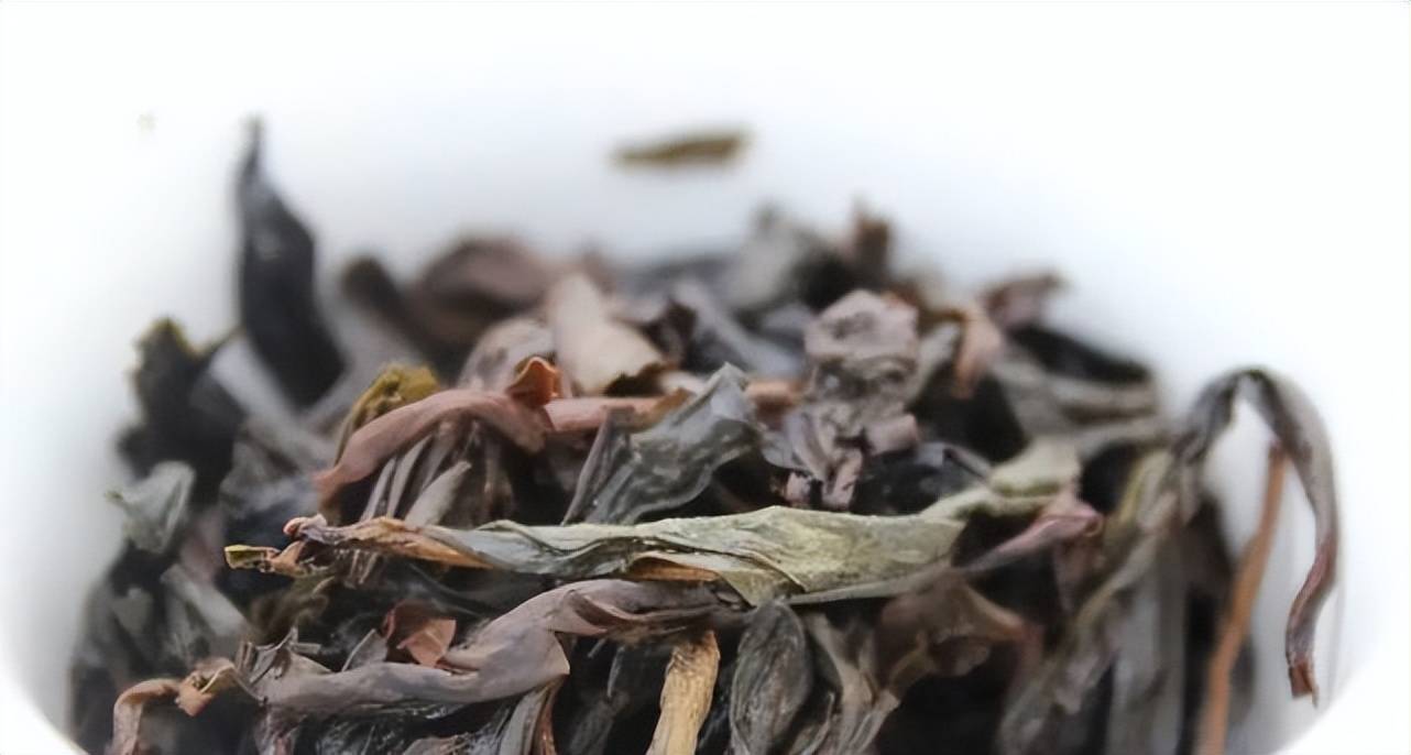 青茶闽北乌龙武夷岩茶之四大名枞水金龟的不可思议官司茶