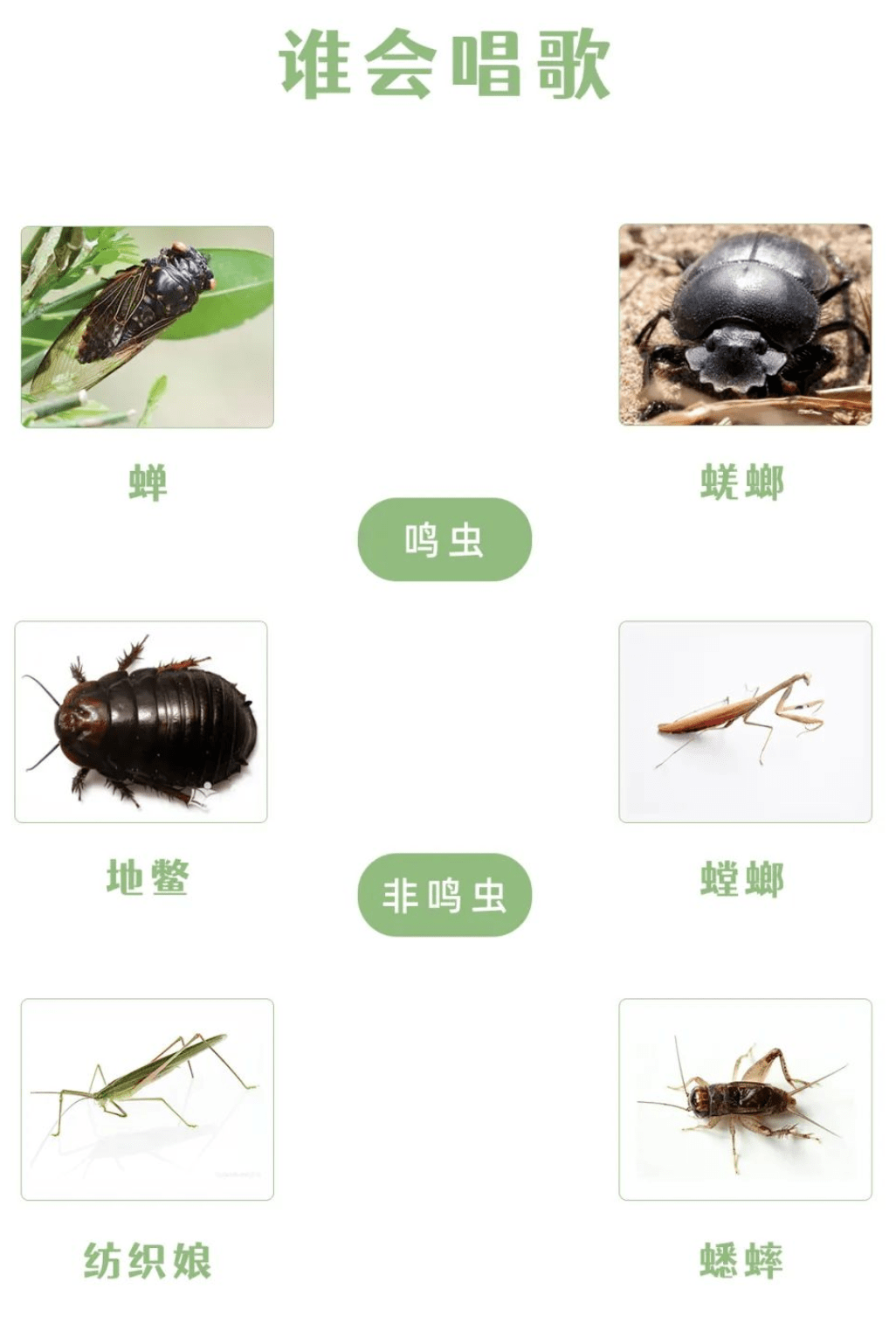 六一儿童节企业工会可以做哪些线上活动枫动体育推荐