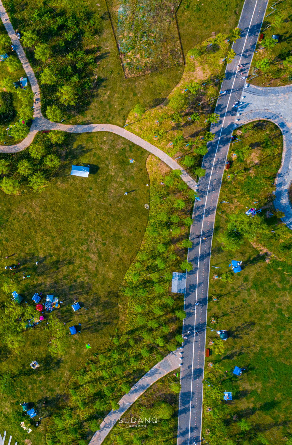 原创武汉江滩独具特色打卡白沙洲的江滩公园建有江城最长樱花大道