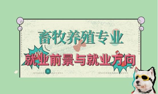 畜牧養殖專業就業方向與就業前景怎麼樣?_動物醫院_企業_飼料