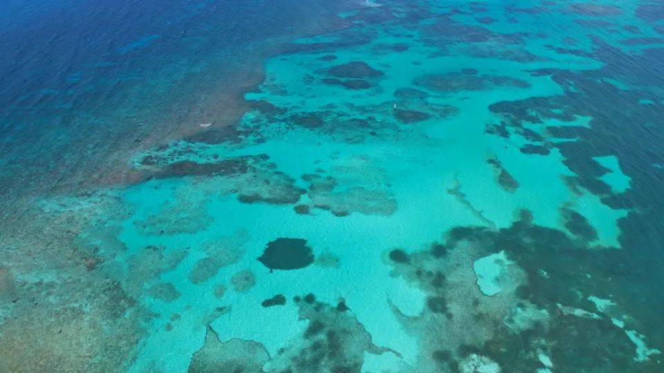 营销蹭冬奥会的大中电器被罚,国美为何总犯低级错误?-家电圈官网