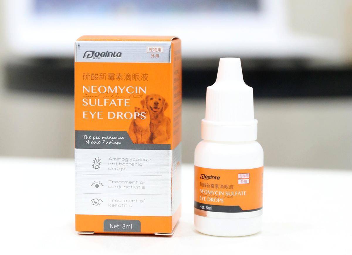 如果有眼部发炎的情况,可以为它滴些普安特眼药水,对消退炎症很有帮助