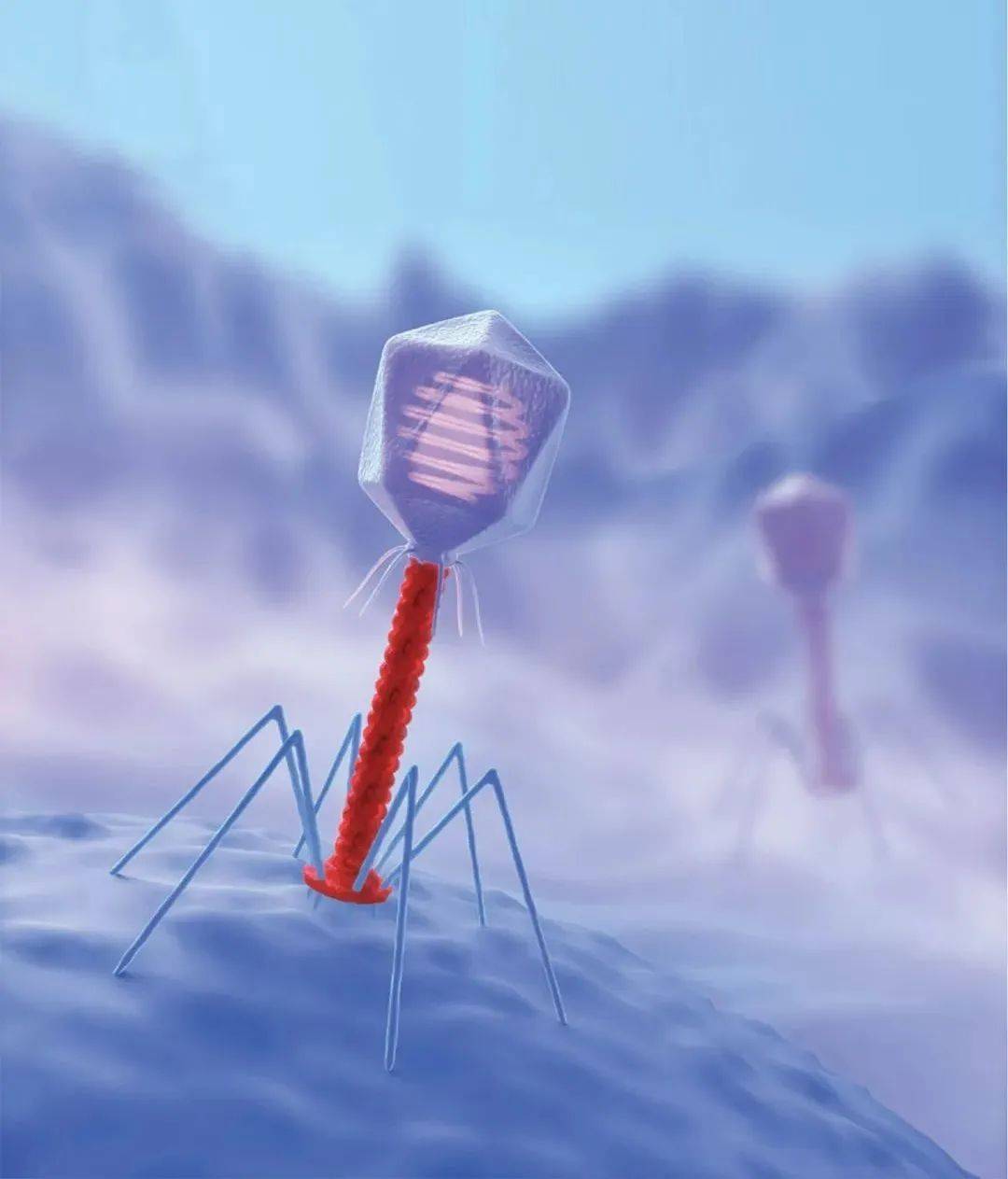 噬菌体后生元宠物微生态药物新蓝海绿色抗菌新方式