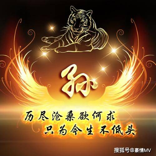 带孙的微信头像大全图片