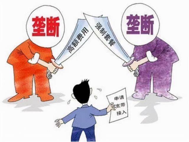 渐发展到了网络层面上的垄断，比如垄断客户、垄断单一软件的行业等等。