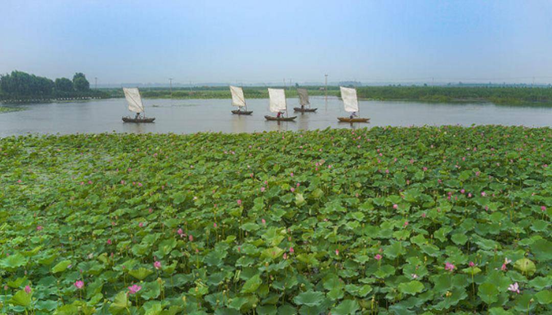 济宁一地有北方最大的淡水湖，京杭大运河穿行而过，有望撤县改市