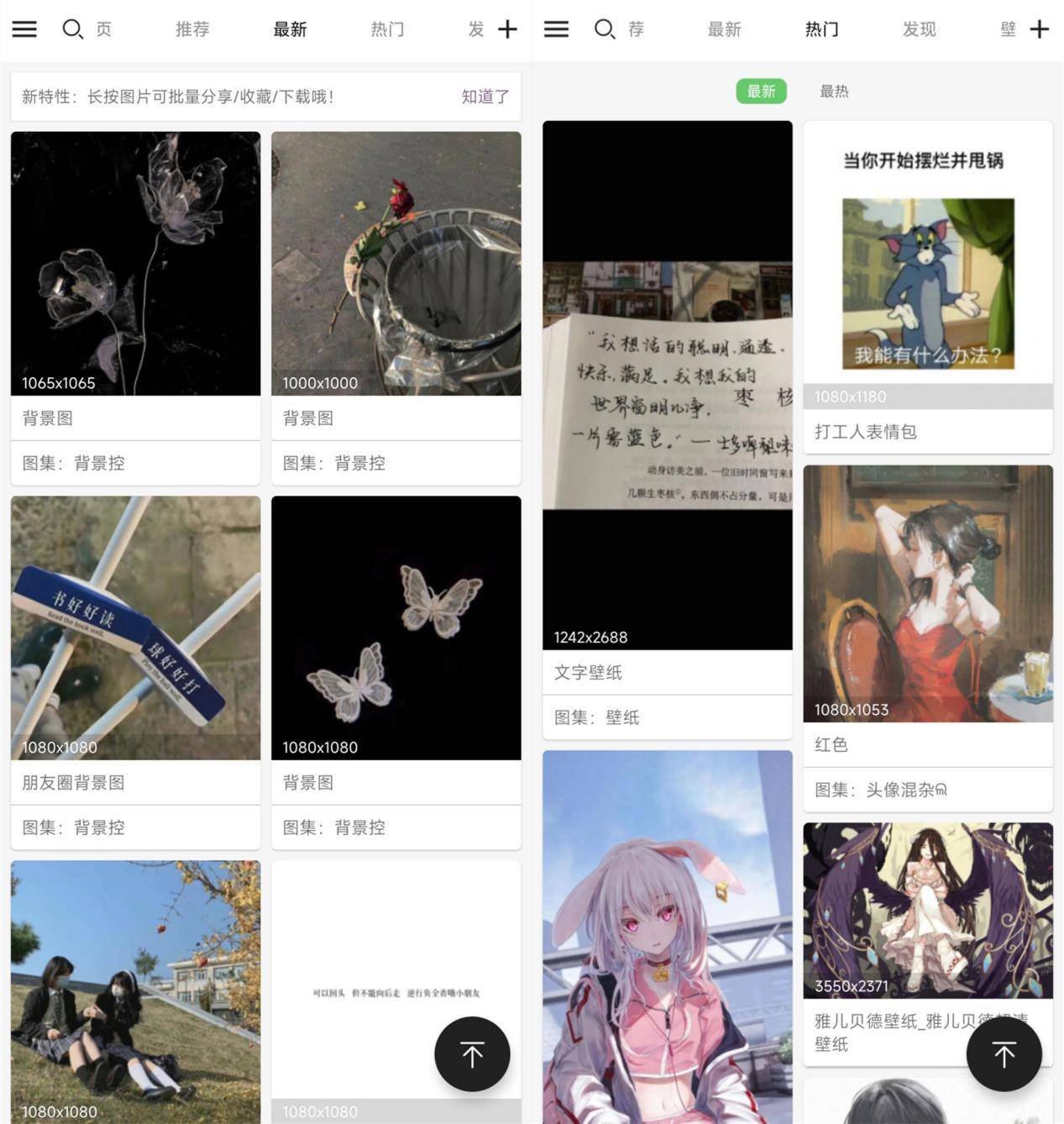 图片_搜索_识别