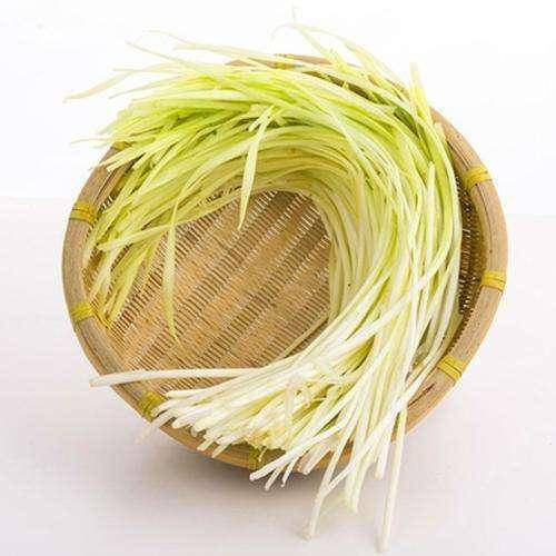 这种黄韭菜也能自己种和种韭菜差不多不过炒鸡蛋更好吃