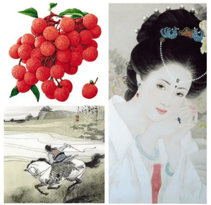 一骑红尘妃子笑历史上的杨贵妃到底为什么爱吃荔枝