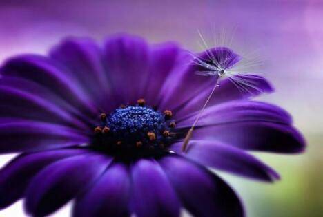 5月16日17日18日19日喜上眉梢 诸事顺利 好运来临 苦尽甘来的星座 事业 自然 低谷