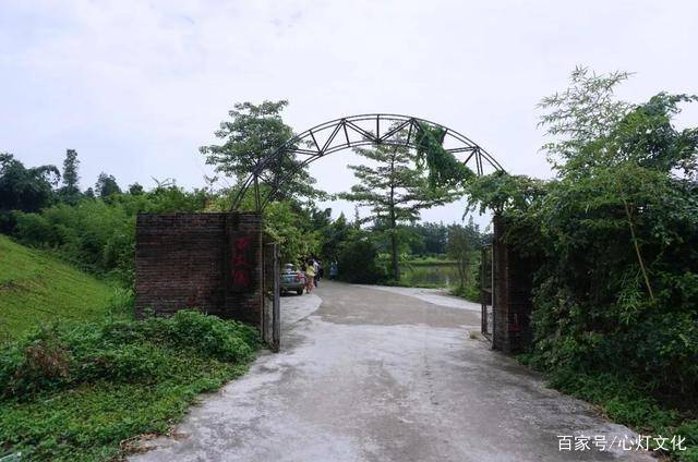 百丈园以桑基鱼塘的食材作为原材料,作为最资深的"桑叶菜专家",百丈园