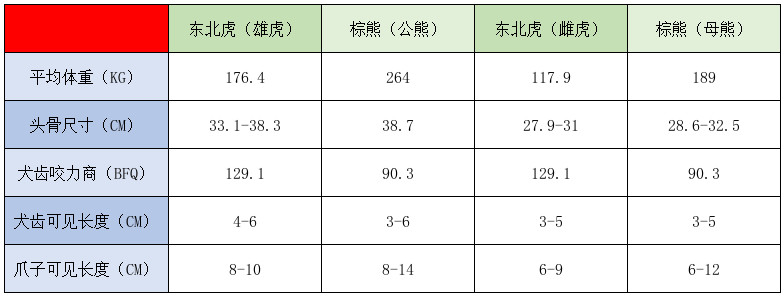 东北虎与棕熊部分数据对比老虎拥有食肉动物中最为专业的牙齿和爪子