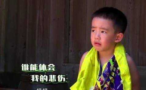 陈小春将儿子扔进水池，应采儿拍视频大笑！网友：心疼小小春