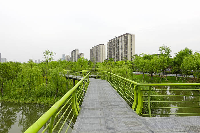 鄞州公园二期浓郁到化不开的绿色,让人陶醉