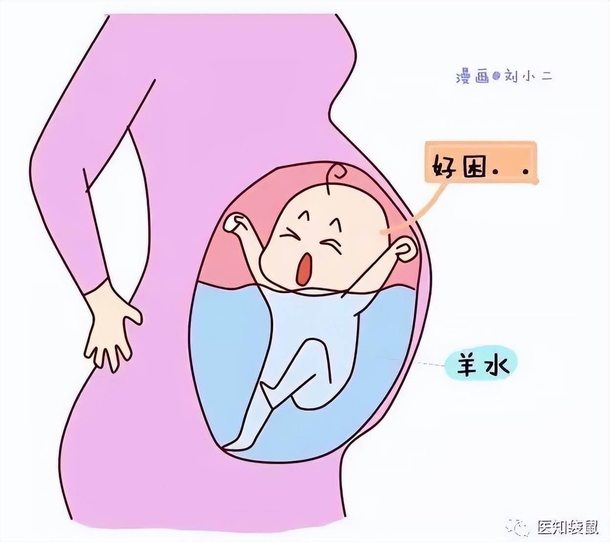 原来你是这样的胎宝宝，在妈妈肚子里的生活真精彩！哈哈哈哈_胎儿_脐带_羊水
