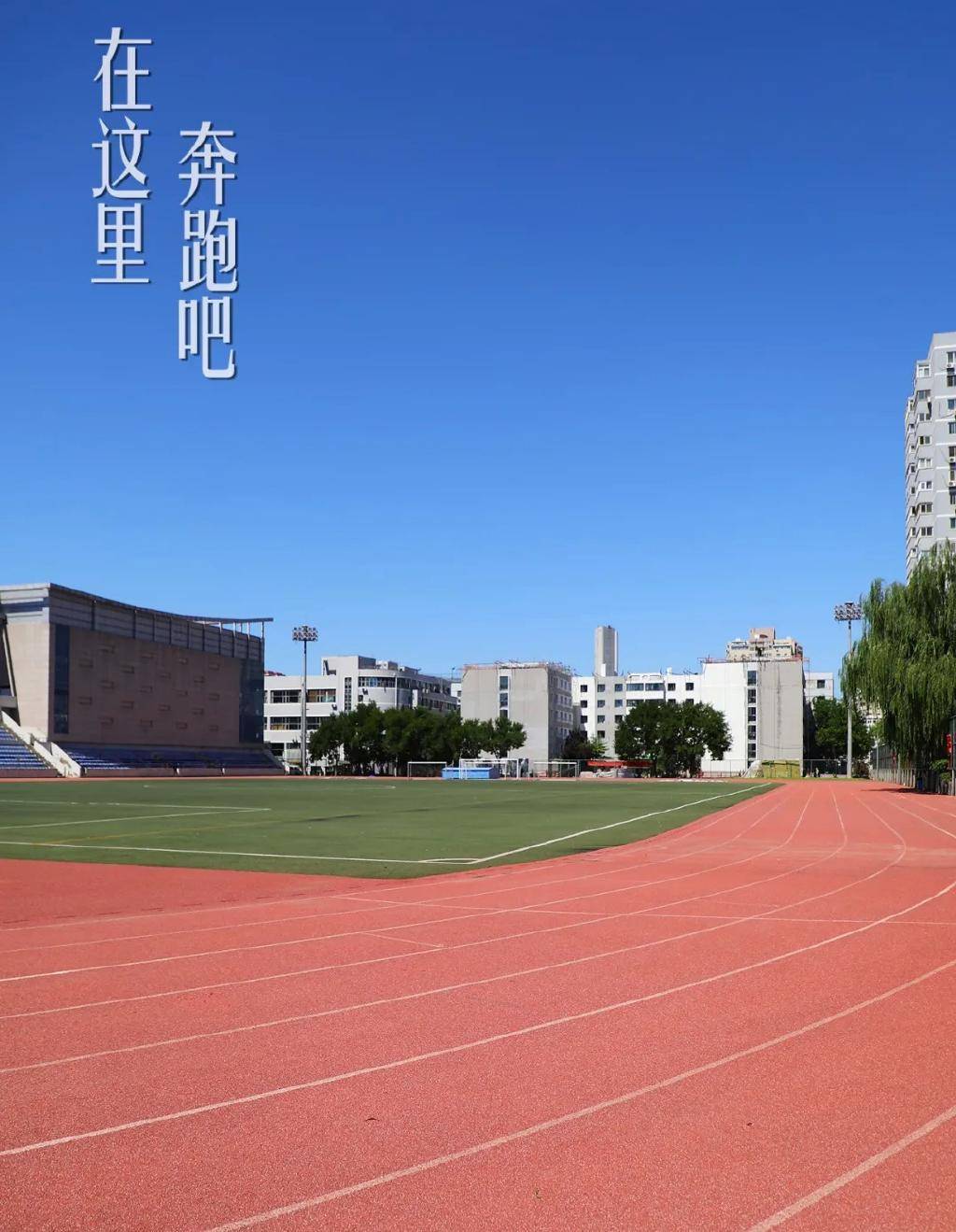 北京联合大学 毕业证图片