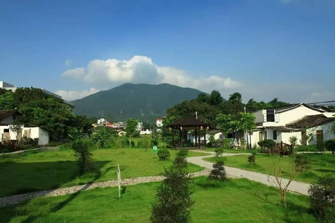 哈九智慧:"田园养老"已经成为康养新趋势_中老年人_乡村_发展